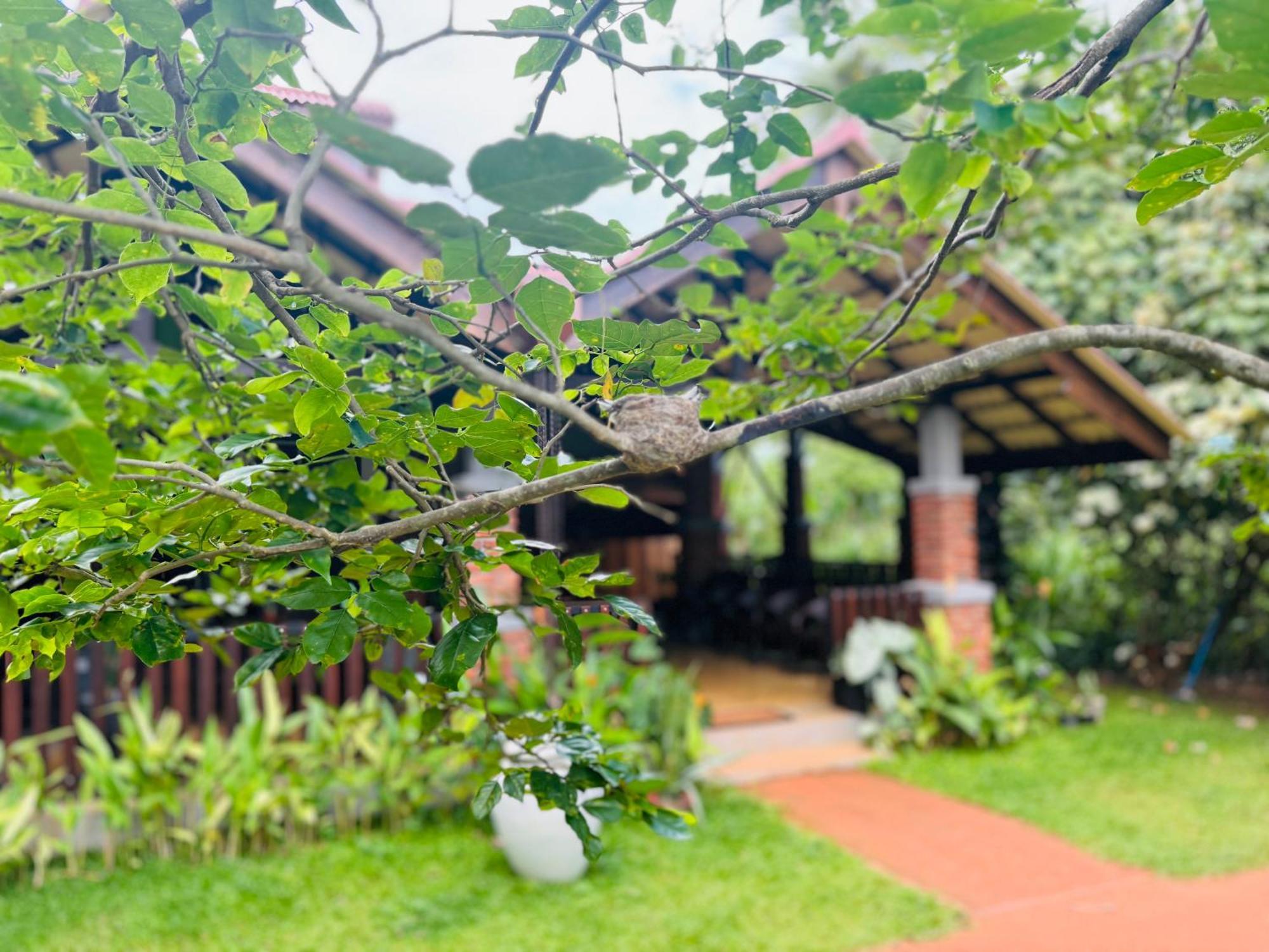 Foresta Resort Sigiriya Exterior foto