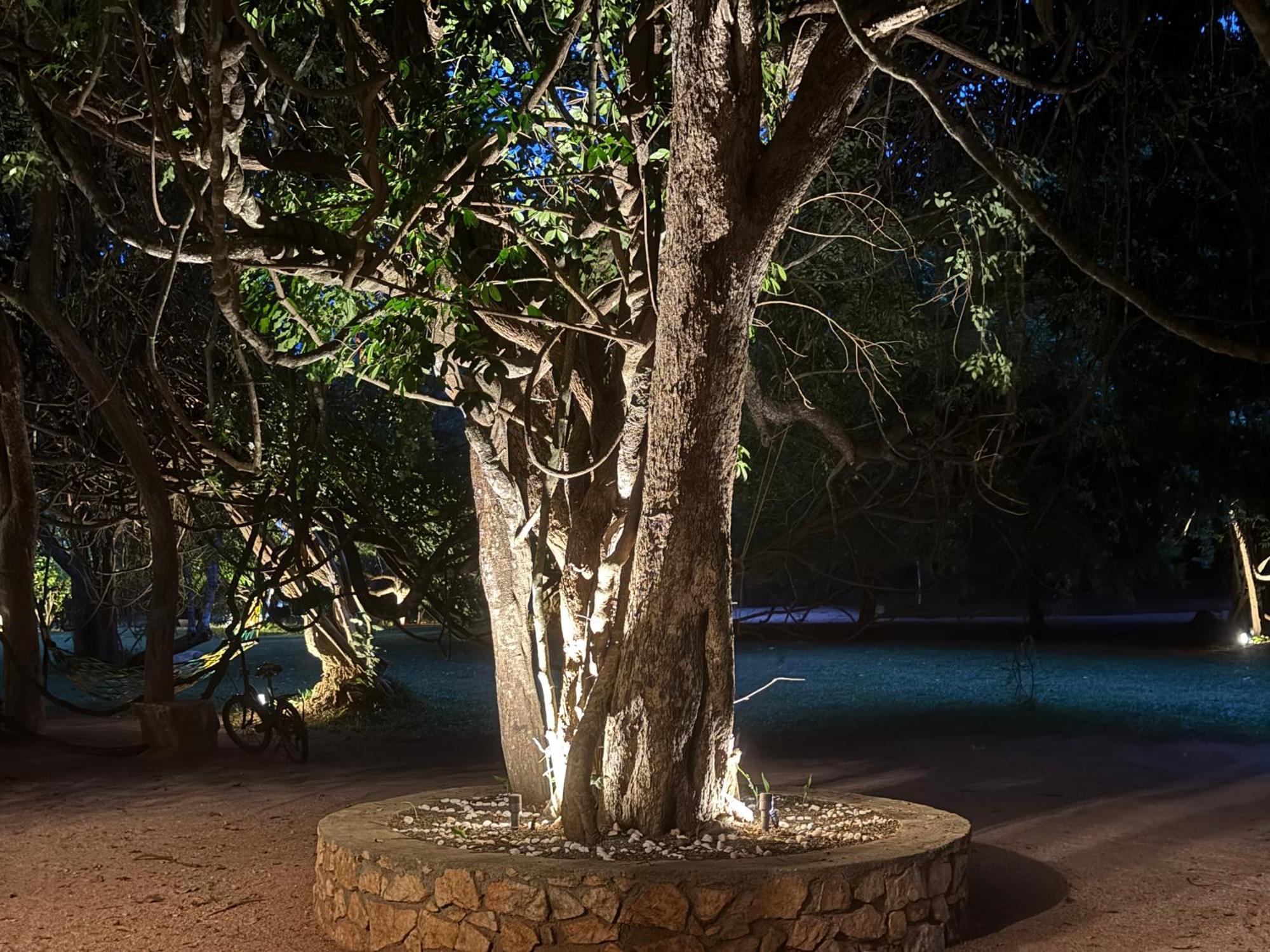 Foresta Resort Sigiriya Exterior foto
