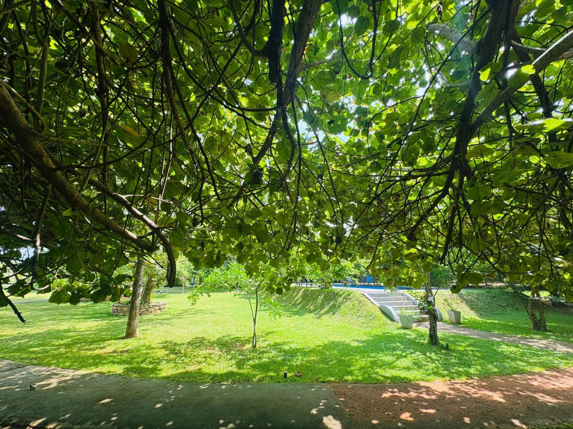 Foresta Resort Sigiriya Exterior foto